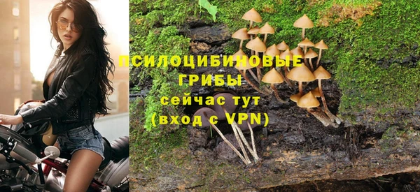 spice Арсеньев