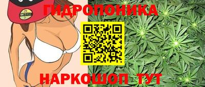 spice Гулькевичи