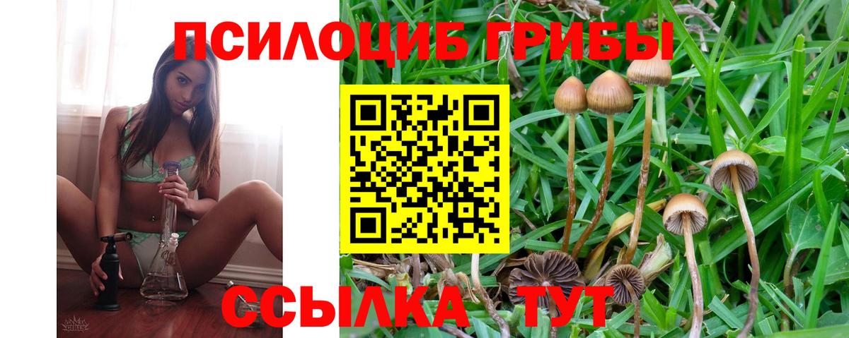 Галлюциногенные грибы MAGIC MUSHROOMS Одинцово
