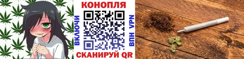 Бошки марихуана сатива  Одинцово 